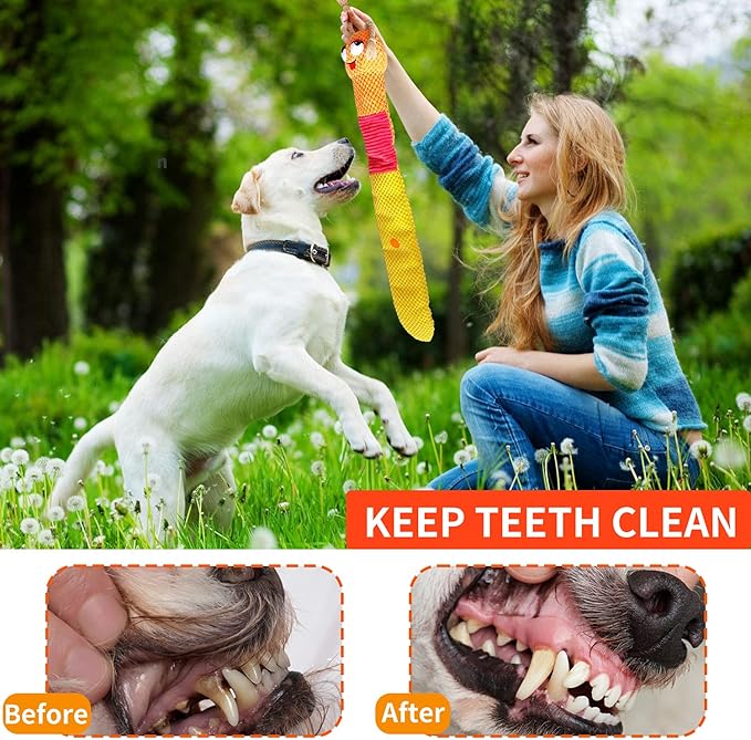 lilfrd Dog Enrichment Toys - Dog Puzzles Squeaky Treat Dispensing Crinkle Plush Snuffle Toys - Treat Toy for Small Medium Large Breed Puppy, Snail