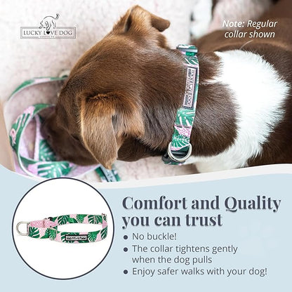 Lucky Love Dog Martingale Dog Collar - Adjustable, No-Slip, Comfortable, Durable, Soft Webbing & Stylish Patterned Collar for Male and Female Dogs Ideal for Training & Walking - Laguna, Small