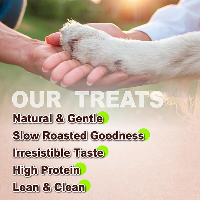 A Freschi srl Chicken Jerky Dog Treats, All Natural, High-Protein, Healthy & Easily Digestible, Grain-Free Puppy Chews, Human Grade Training & Rewards Dog Snacks, Chicken Chips, 16 oz Pack