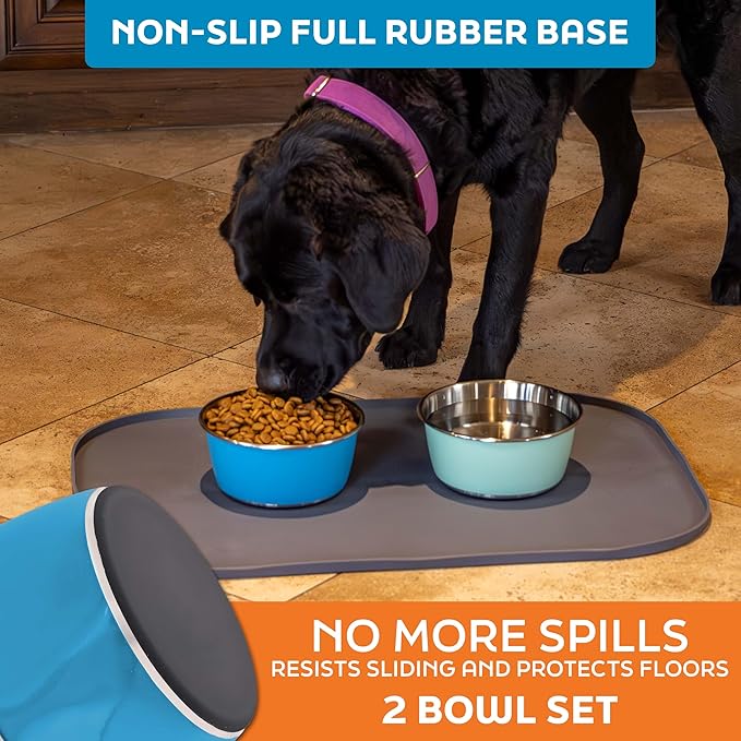 Master Pet Supply Stainless Steel Dog Bowls Set of 2 (32 Oz Each) with Non-Slip Rubber Base - True Blue - Basic Dog Food Bowl Water & Food Bowls for Small Medium Large Dogs & Cats, Metal Dish