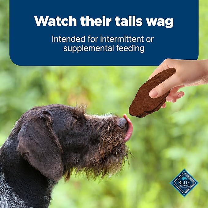 Blue Buffalo Nudges Jerky Cuts Dog Treats, Made in the USA with Natural Ingredients, Steak, 16-oz Bag