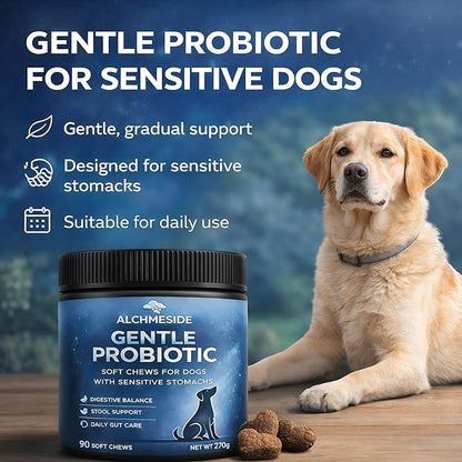 Probiotics for Dogs – Dog Probiotic Soft Chews for Digestive & Gut Health, Yeast Balance,3 Billion CFU with Prebiotic Inulin & Pumpkin, Gentle Formula for Sensitive Stomachs, Chicken Flavor, 90 Count