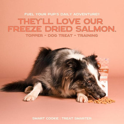 Smart Cookie Freeze Dried Salmon Bites - Single Ingredient Freeze Dried Treats for Dogs - Wild Caught Alaskan Salmon Dog Training Treats & Dog Food Topper - Made in USA - 2oz Bag, 3 Pack