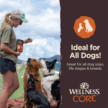 Wellness CORE Tiny Trainers Dog Treats,Natural,Training Treat,Grain Free,Turkey & Pomegranate (6 Ounce Bag),(Pack of 2)