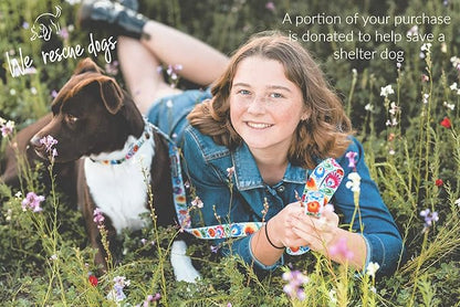 Lucky Love Dog - Adjustable Dog Collar with Easy Click Buckle for Large Ones, Durable, & Comfortable for Male & Female Dogs, Pet Collar for Puppies & Adult Dogs - Ladybird, Large