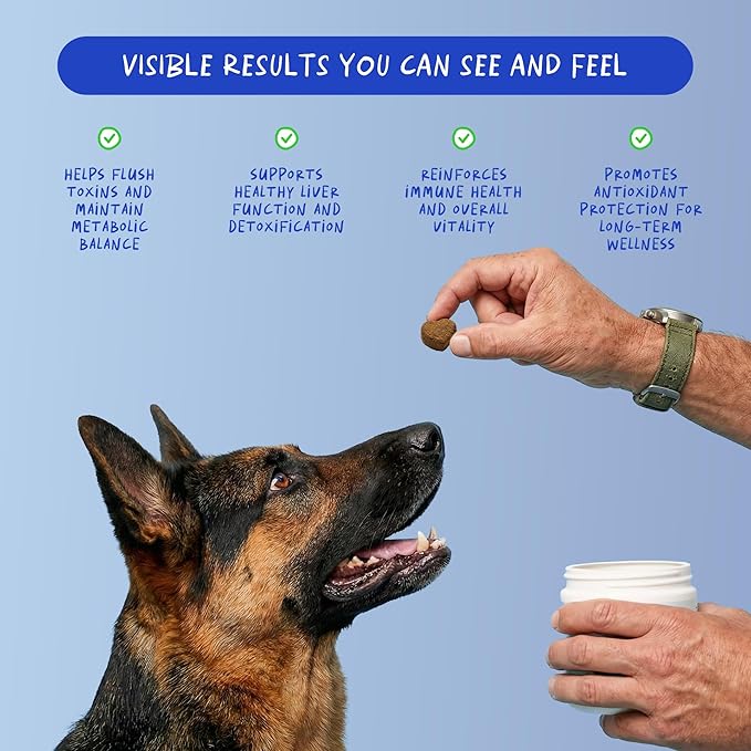 Milk Thistle for Dogs - 90 Soft Chews - Liver and Kidney Support - Hepatic Support with EPA & DHA - Detox - Liver Supplement for Dogs with Choline and L-Arginine.