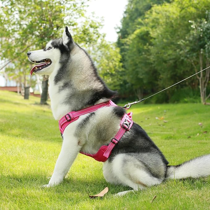 Voyager Dog Harness Dual Leash Attachment No-Pull Control Adjustable Soft but Strong Pet Harness for Medium and Large Dogs with 3M Reflective Technology, Leash Set Fuchsia Nylon, M (Chest: 20-25")