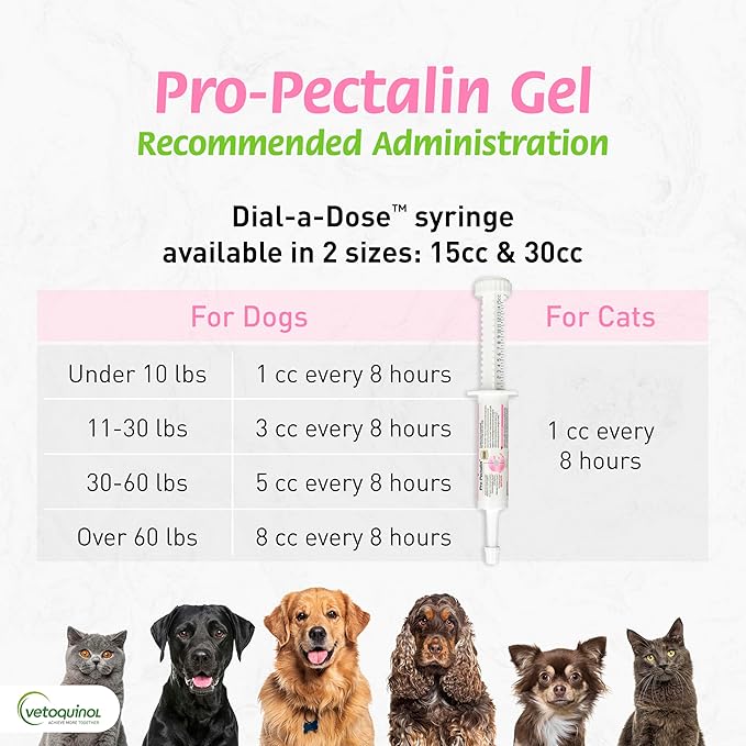 Pro-Pectalin Oral Paste for Dogs & Cats, Helps Relieve Occasional Diarrhea in Cats and Dogs, Situational Diarrhea Relief with Kaolin and Pectin, Contains Beneficial Probiotic Bacteria, 15cc