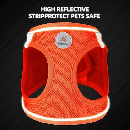 Hipubby Dog Harness and Leash Set, No Pull Soft Mesh Puppy Harness for Small Medium Dogs, Cats - Step in Reflective Breathable Lightweight Vest Harness for Walking, Training - Orange, XS