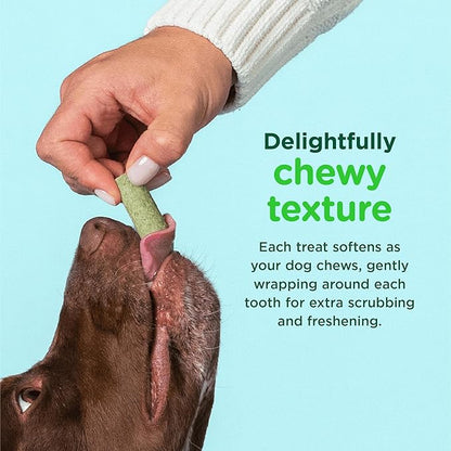 Minties FreshBites Soft and Chewy Dental Treats, Low Calorie Natural Mint Flavored Dental Chews for Dogs, 100 Count, Dog Chews Clean Teeth, Fight Bad Breath, Removes Plaque and Tartar