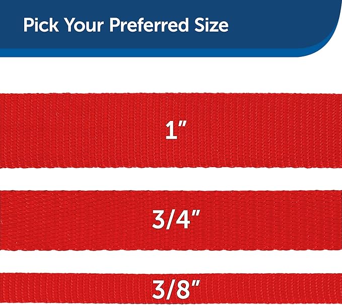 PetSafe Nylon Dog Leash – Strong, Durable, Traditional Style Leash with Easy to Use Bolt Snap for Small, Medium and Large Dogs – 3/8" x 6', Red