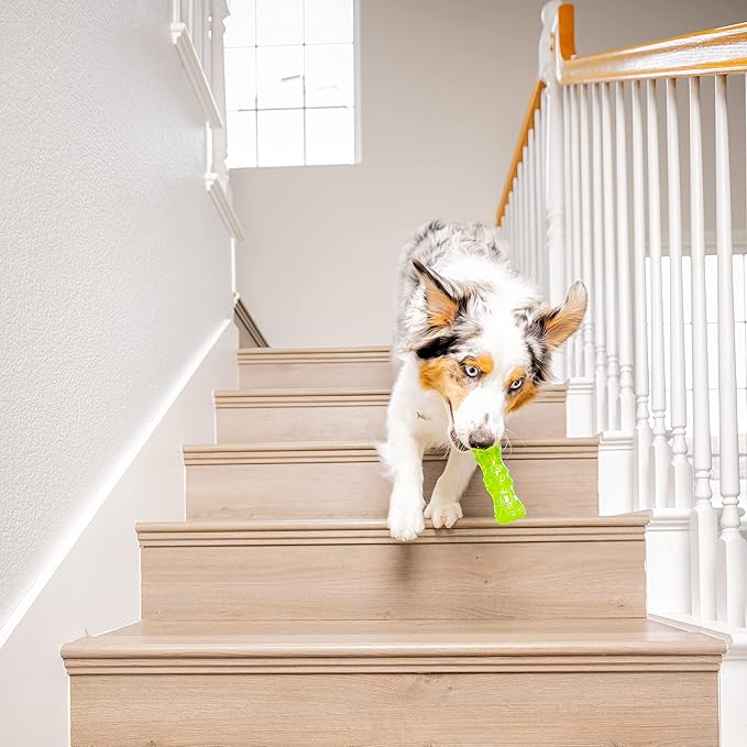 Hyper Pet DuraSqueaks Dog Toy Balls and Chews (Squeaky Dog Ball For Interactive Play – Floating Balls and Toys) - Medium Stick