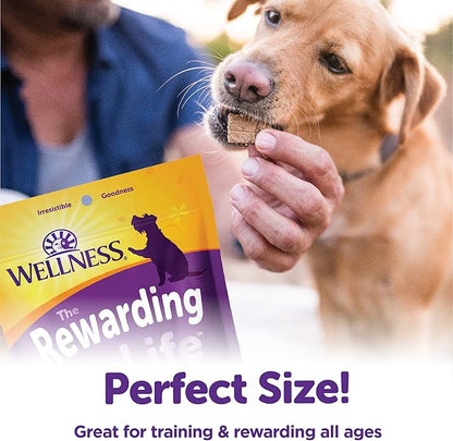 Wellness Rewarding Life Dog Treats, Training Treat, Grain Free, Soft Chicken & Venison (6 Ounce Bag) (Pack of 2)