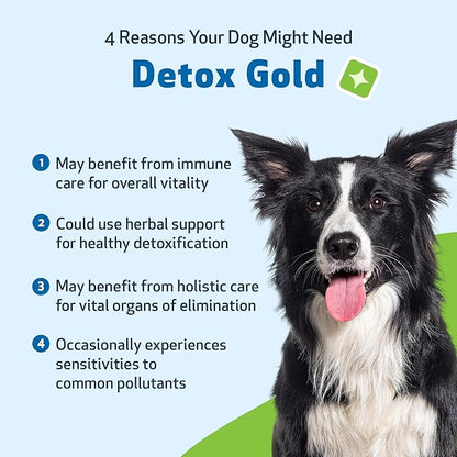 Pet Wellbeing Detox Gold for Dogs - Gentle Detoxification & Elimination Support, Immune System Care, Nettle, Blessed Thistle, Burdock Root - Veterinarian-Formulated Herbal Supplement 2 oz (59 ml)