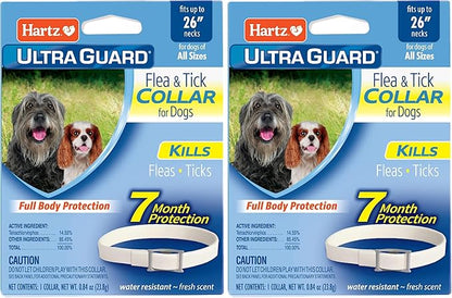 Hartz UltraGuard Flea & Tick Collar for Dogs and Puppies - 26" Neck, 7 Month Protection (Pack of 2)