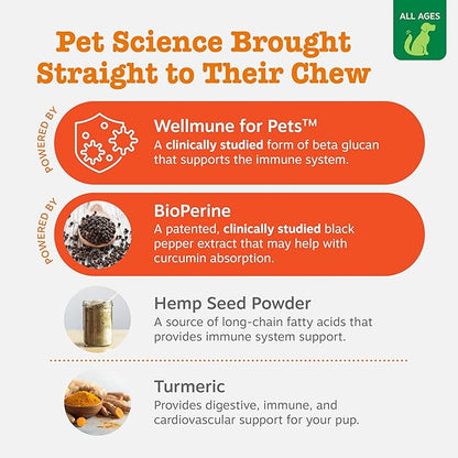 Zesty Paws Hemp Allergy Immune Bites - Dog Allergy Chews, Dog Probiotics for Itchy Skin and Ears, Cheese, 90ct