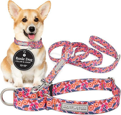 Lucky Love Dog Martingale Dog Collar & Leash - Adjustable, No-Slip, Durable, Comfortable, Soft Webbing, & Stylish Patterned Collar & Leash Set for Male and Female Dogs - Rosie Combo, Small