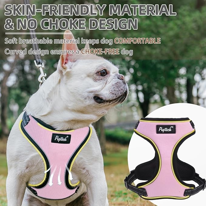 PUPTECK Dog Harness and Leash Set Small Sized, Adjustable Reflective Escape Proof Puppy Vest, No Pull Walking Harness Easy Control