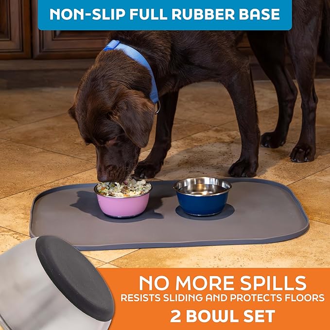 Master Pet Supply Stainless Steel Dog Bowls Set of 2 (16 Oz Each) with Non-Slip Rubber Base - Stainless Steel - Basic Dog Food Bowl Water & Food Bowls for Small Medium Large Dogs & Cats, Metal Dish