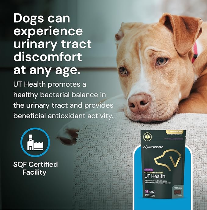 Vetriscinece Veterinary Strength UT Health Chews - Clinically Studied Supplement for Dogs - Supports Canine Urinary Wellness -Naturally Sourced - Features GanedenBC 30-60 Count, Chicken Liver Flavor