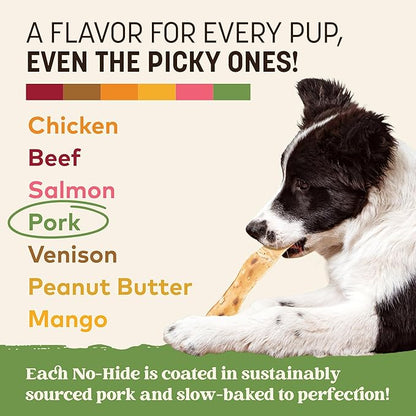 Earth Animal No Hide Strips - Natural Rawhide Free Dog Chew Strips, Pork - 16 Count