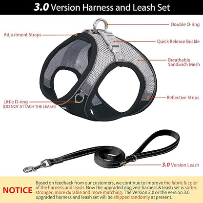 AIITLE No Pull Dog Harness and Leash Set, Step in Adjustable Dog Harness with Padded Vest for All Weather, Dog Leash with Soft Padded Handle, Easy to Put on Small and Medium Dogs Black S