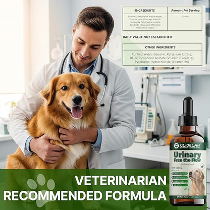Bladder & Kidney Stones Dissolver for Dogs – Helps with Stone and Crystals Fragment Flush & Prevention – Natural Dog UTI Treatment, Herbal Vet-Formulated, Dog Urinary Tract Infection Treatment