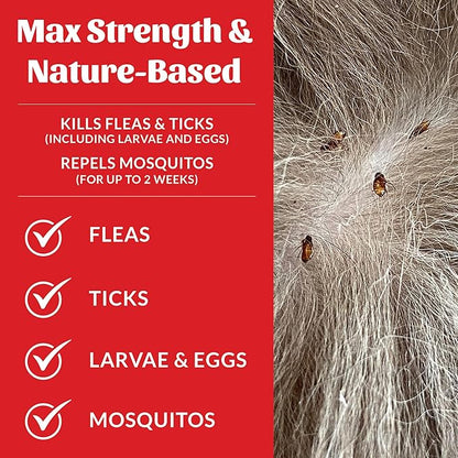Skout's Honor Flea and Tick Shampoo for Dogs - Natural Peppermint & Cedarwood Formula, Helps to Protect from and Against Fleas, Ticks, and Mosquitos, 16 oz