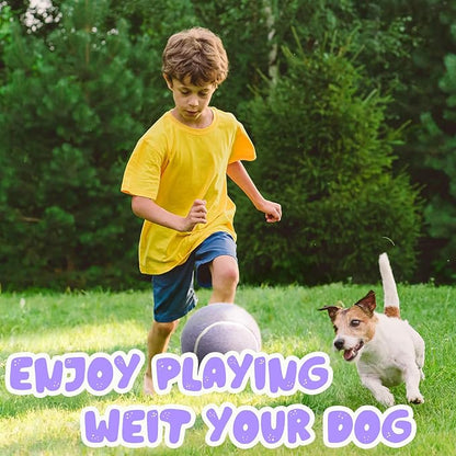 Banfeng Big Tennis Ball for Dogs, Giant Dog Tennis Ball Toy Large Outdoor Sports Gift for Small Medium Large Dog (Light Purple, 9.5 inch)