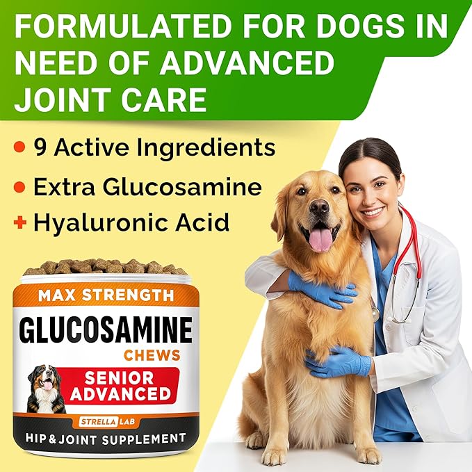 Senior Advanced Glucosamine Chondroitin Joint Supplement for Dogs - Hip & Joint Pain Relief Pills - Large & Small Breed - Hip Joint Chews Canine Joint Health - Chews Older Dogs - Bacon Flavor-120Ct