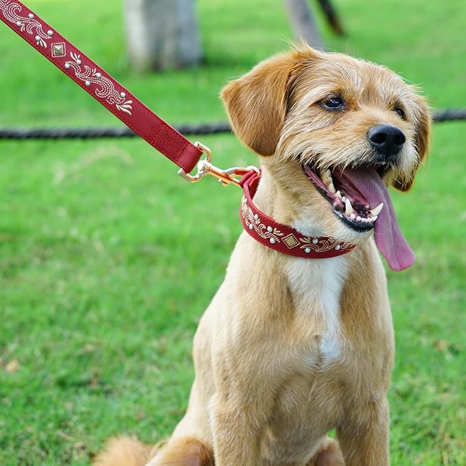Blueberry Pet Western Leather Dog Collar - Genuine Leather with Floral Embroidery & Pearl Studs Adjustable 12-15 Inch Neck for Small Dogs