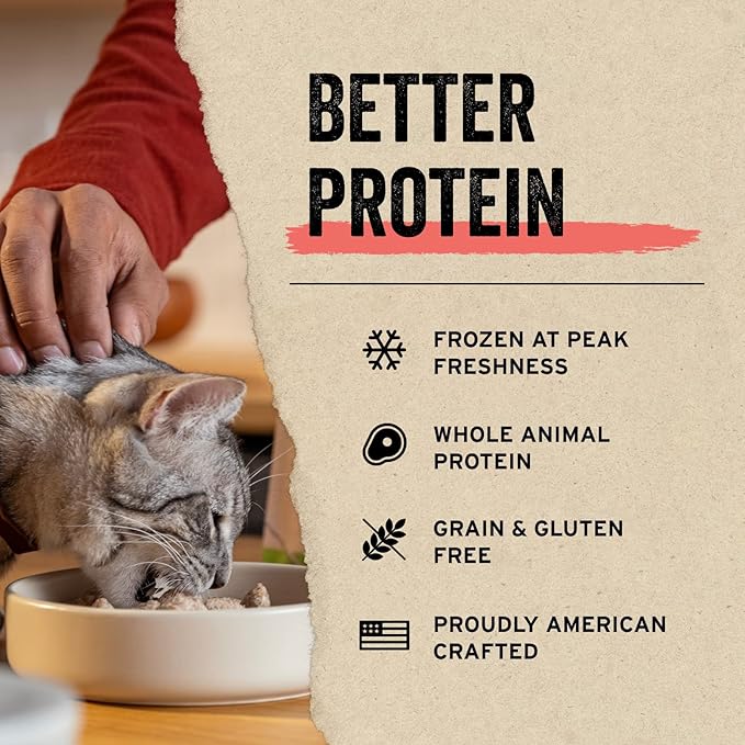 Vital Essentials Freeze Dried Raw Cat Treats | Chicken Giblets | 1 oz | Pack of 2