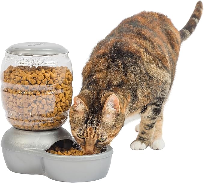 Petmate Replendish Feeder with Automatic Cat and Dog Feeder Grey, 2lb, Made in USA