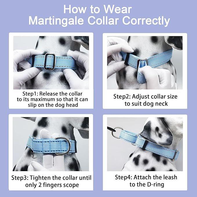 Reflective Martingale Collar for Dogs Nylon Training Collar with No Buckle, No Pull Escape Proof Dog Collar for Small Dogs（Blue Stripe，S）