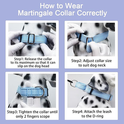 Reflective Martingale Collar for Dogs Nylon Training Collar with No Buckle, No Pull Escape Proof Dog Collar for Small Dogs（Blue Stripe，S）