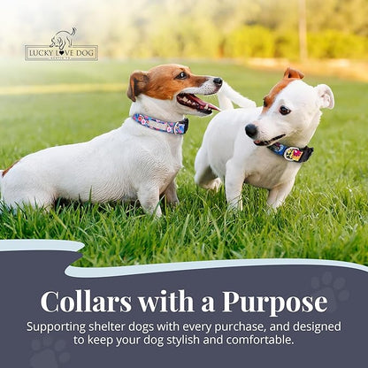 Lucky Love Dog - Adjustable Dog Collar with Easy Click Buckle for Small Dogs, Durable, & Comfortable Collar for Male & Female Dogs, Pet Collar for Puppies & Adult Dogs - Zuzu, Small
