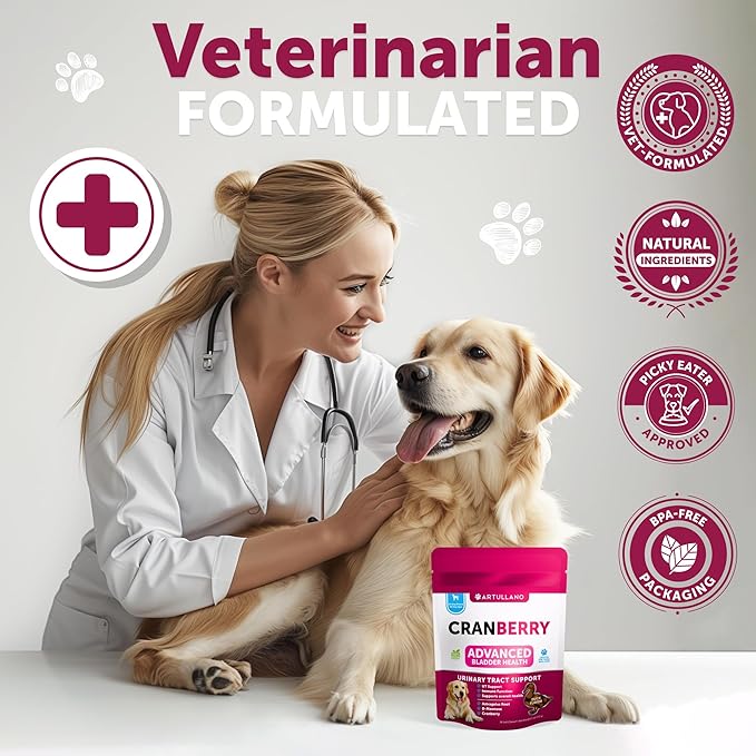 Dog UT Treats - Cranberry Chews for Dogs - Urinary Tract & Bladder Support Supplement with Natural Cranberry Extract - Tasty 70 Soft Bites for Daily Wellness with Fish Oil, Pumpkin, D-Mannose