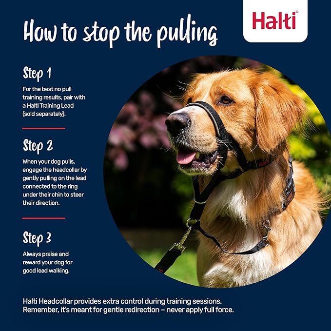 Halti Headcollar - Stop Your Dog Pulling on the Leash. Adjustable, Reflective and Lightweight, with Padded Nose Band. Dog Training Anti-Pull Collar for Medium Dogs (Size 3, Red)