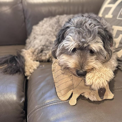 SPOT Dura-Fused Leather Raccoon Dog Toy – Real Leather & Jute Fabric, Double-Stitched & Durable, Squeaky Interactive Chew Toy for Moderate Chewers, Small & Medium Dogs, Soft Stuffed Fetch Toy, 7.25in