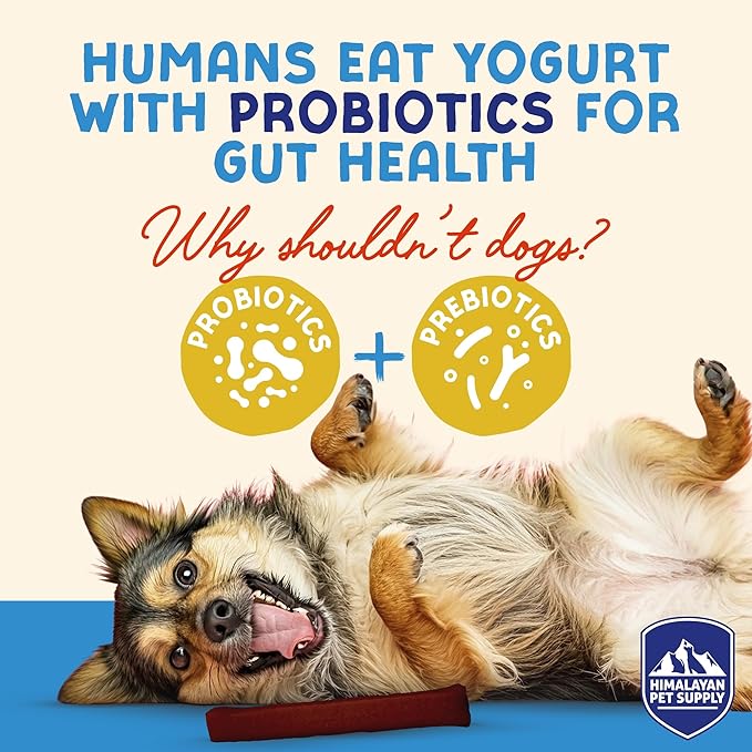 Himalayan Dog Chew Cranberry Honey Yogurt Sticks for Dogs | Protein-Rich Treats with Prebiotics & Probiotics | Lactose-Free, Grain-Free, Gluten-Free | Healthy Yogurt Chews for All Breeds | 5 Count