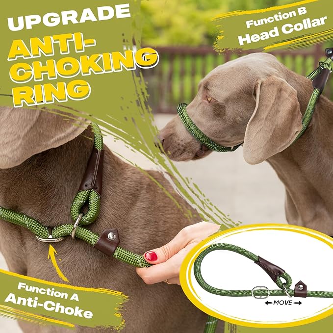Fida Durable Slip Lead Dog Leash Bulk Pack of 5, Heavy Duty 1/2" x 6 FT Comfortable Strong Rope Slip Lead for Large, Medium & Small Dogs No Pulling Pet Training Leash with Highly Reflective (Green)