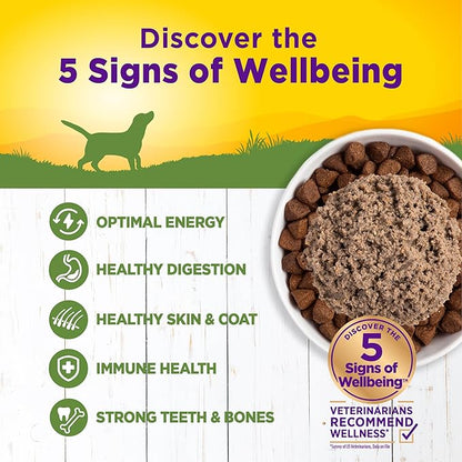 Wellness Complete Health Pate Adult Canned Wet Dog Food, Wholesome Grains, Natural, Lamb and Sweet Potato, 12.5 oz, Pack of 12 Cans