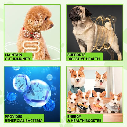 Oimmal Probiotics for Dogs, 3 in 1 Dog Probiotic and Digestive Enzymes for Pet, Supports Gut Health, Itchy Skin, Allergies, Immunity, Liquid Probiotics for for All Ages and Breeds Dogs, blue
