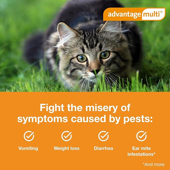 Advantage Multi for Cats 5-in-1 Heartworm Prevention | Kills Fleas & More | Cats 5.1-9 lbs. | 6-Month Supply