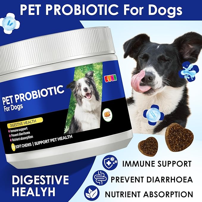 Probiotics for Dogs with Digestive Enzymes & Prebiotics - Diarrhoea Relief, Gut Health Support, Immune & Anti-Itch Function, Chicken Flavor, 120 Chews