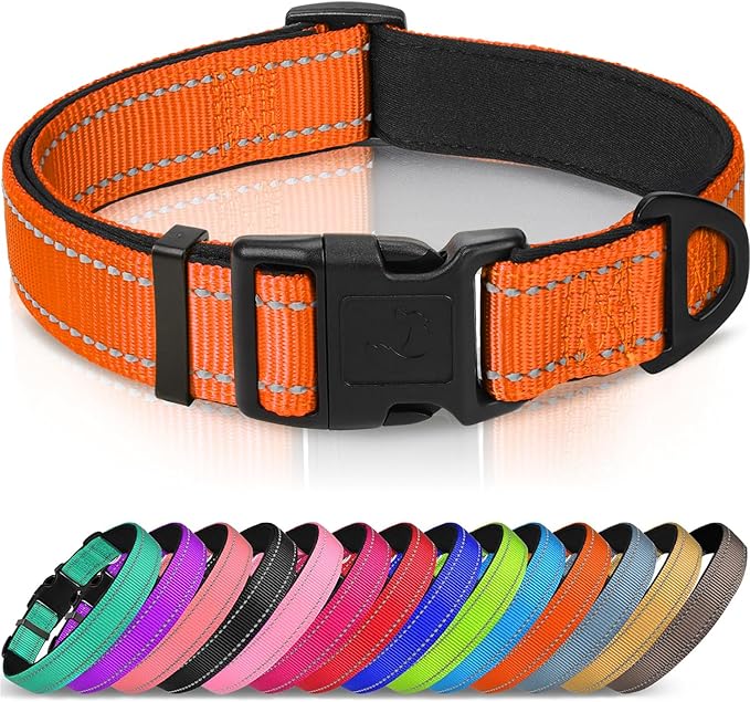 Joytale Dog Collar,Soft Neoprene Padded Breathable Nylon Pet Collar Adjustable for Puppy and Small Dogs,Orange,XS