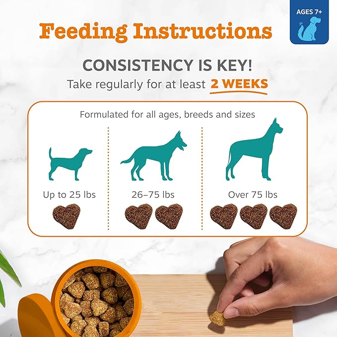 Zesty Paws Senior Advanced Calming & Cognition Soft Chews for Dogs - Supplements for Dog Brain Health & Nervous System Support + Calming & Relaxation -with Ashwagandha & DHA