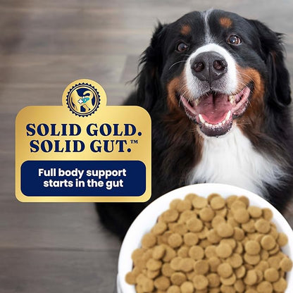 Solid Gold Dry Dog Food for Adult & Senior Dogs - with Whole Grains, Oatmeal, Pearled Barley, & Fish - Potato Free, High Fiber Adult Dog Food Dry Kibble for Sensitive Stomach & Immune Support – 4LB