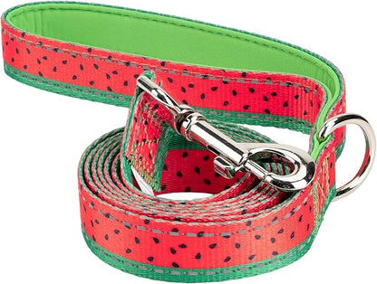 EcoBark Dog Leash - Soft & Reflective Comfort Leash with Padded Handle - Safe, Strong, & Durable for Small, Medium or Large Dogs (Watermelon)