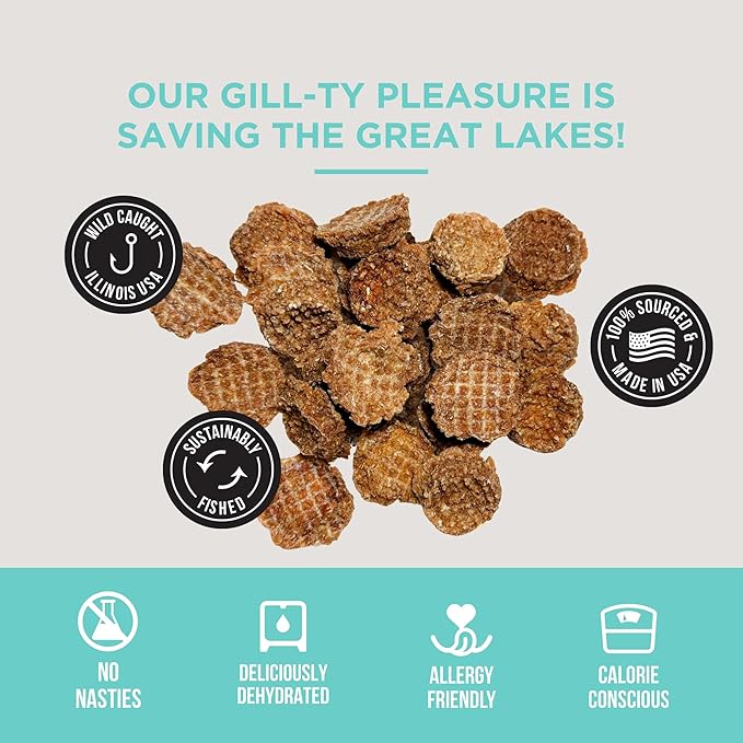Natural Rapport Dehydrated Fish Dog Treats - The Only Silver Carp Fish Chips Dogs Need - All Natural Dog Treats for Small and Large Dogs (3 oz)
